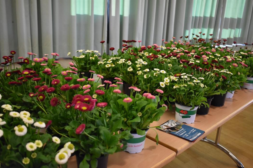 Gartenvortrag mit Angelika Ertl in Premstätten