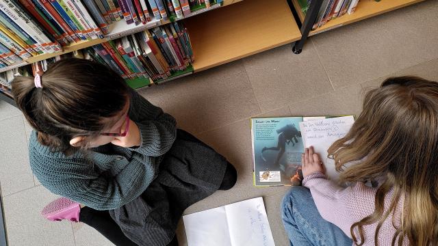 Sachbuchworkshop in der Bibliothek