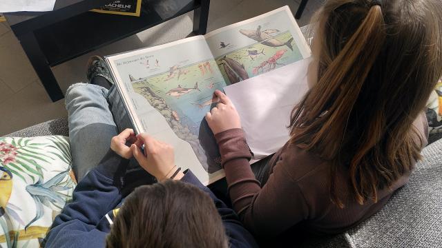 Sachbuchworkshop in der Bibliothek