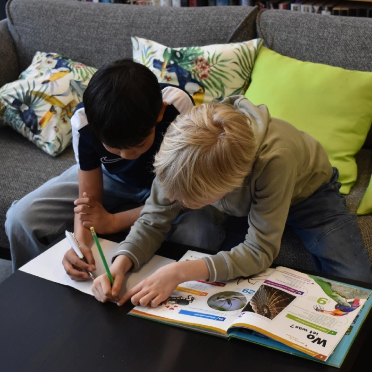 Sachbuchworkshop 3. Klassen Volksschule Premstätten